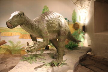 Der Iguanodon lebte in der frühen Kreidezeit (vor 145 Millionen Jahren) und wurde aufgrund seiner Häufigkeit "Kuh der Dinosaurierzeit" genannt.