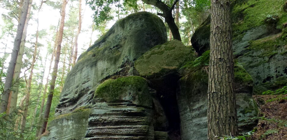 Der Tentenberg ist 271 Meter ü. NN hoch und befindet sich in der Nähe des Sandsteinportals der Hollenkammer.