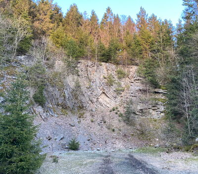 Der Steinbruch am Wetzstein zeigt 390 Millionen Jahre alte Sand- und Tonsteine aus dem Unteren Mittel-Devon, die durch tektonische Aktivität des Rheinischen Schiefergebirges zu zugänglichen Sätteln und Mulden gefaltet wurden.