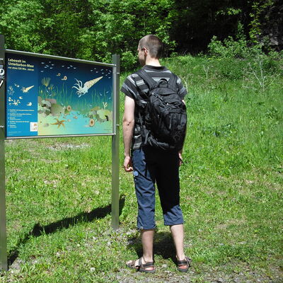 Eine Infotafel zur Lebewelt im unterkarbon-Meer.