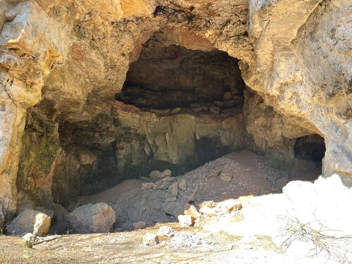 Die "Weiße Kuhle", eine 250 Millionen Jahre alte Höhle des ehemaligen Zechsteinmeers, ist bekannt für fossile Höhlenbärenüberreste, wird mit einer Geo-Station ausgestattet und war Geotop des Jahres 2022.