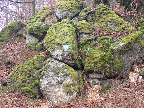 Die Wichtelsteine wurden 2023 zum Geotop des Jahres gewählt und sind ein geologisches Naturdenkmal, dessen Grauwacken-Konglomerat-Felsformationen vor 340 Millionen Jahren im Unterkarbon aus Sedimenten eines tropischen Meeres entstanden sind.