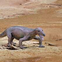 Der Korbacher Dackel lebte in der Zeit des Zechsteins (vor 258 Millionen Jahren) und bildete stammesgeschichtlich eine Brücke zwischen den Reptilien und den Säugetieren.
