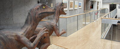 Ein Bild aus dem Inneren der Korbacher Museums.