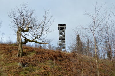 Auf 675m Höhe befindet sich am Gipfel der Kellerwaldroute der Kellerwaldturm.