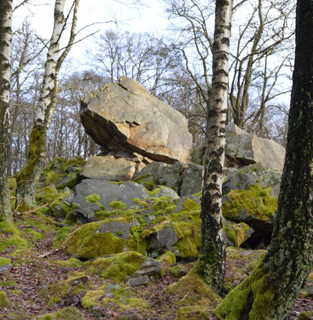 Die Mausefalle auf dem Wüstegarten ist eine markante Felsformation aus Kieselschiefer, die im Volksmund wegen ihrer Form so genannt wird und geologisch interessant ist.