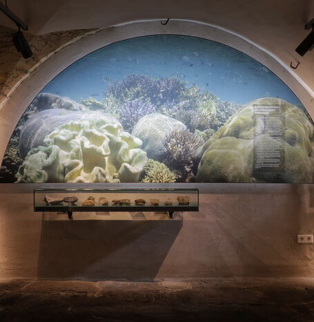 Briloner Massenkalk - ein subtropischer Riffkomplex.