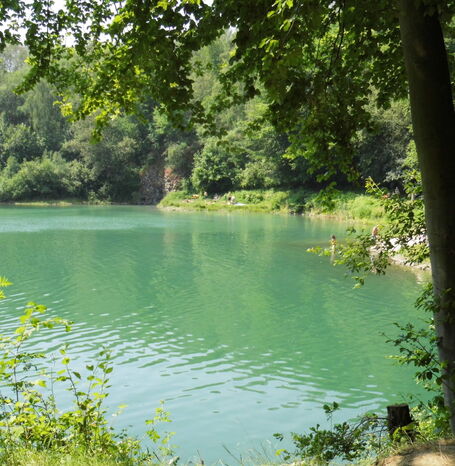 Der Natursee Bühl ist ein ehemaliger Steinbruch, der sich mit Wasser gefüllt hat und heute ein beliebtes Ausflugsziel und Badesee ist