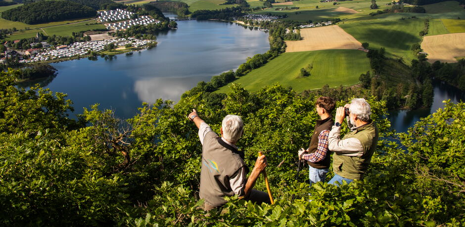 Der Naturpark Diemelsee, ein 33.500 ha großes Gebiet im Rothaargebirge Hessens und NRWs, besticht durch seine vielfältige Landschaft, Artenvielfalt und Deutschlands größter Goldlagerstätte.