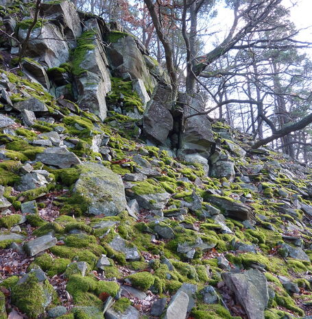 Die Blockschutthalden am Edersee sind eiszeitliche Geröllhalden an steilen Hängen, die ein einzigartiges Geotop und einen besonderen Lebensraum bilden.