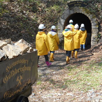 Besuchergruppe auf dem Weg in den Goldbergbaustollen.