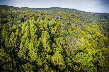 Der Nationalpark Kellerwald-Edersee aus der Vogelperspektive.