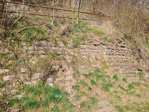 Der Adorfer Bänderschiefer entstand im Zeitalter des Oberdevons und zeigt die Veränderlichkeit der Ablagerungsbedingungen durch globale Klimaschwankungen.