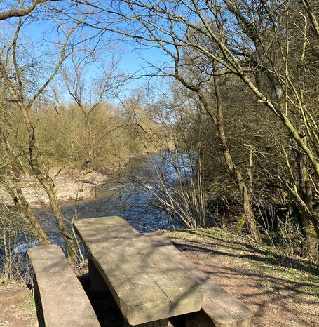 Die Ederstede bei Birkenbringhausen, ein Sandsteinfelsen aus der Zechstein-Zeit und Geotop des Jahres 2020.