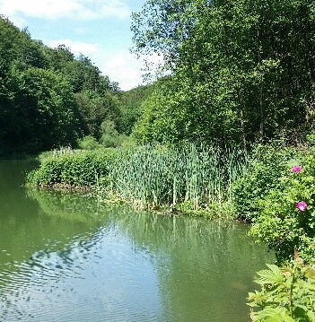 Der Bodensee in Elkeringhausen - Winterberg.