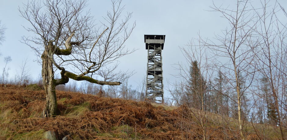 Auf 675m Höhe befindet sich am Gipfel der Kellerwaldroute der Kellerwaldturm.
