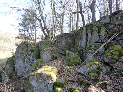 Die Wichtelsteine wurden 2023 zum Geotop des Jahres gewählt und sind ein geologisches Naturdenkmal, dessen Grauwacken-Konglomerat-Felsformationen vor 340 Millionen Jahren im Unterkarbon aus Sedimenten eines tropischen Meeres entstanden sind.