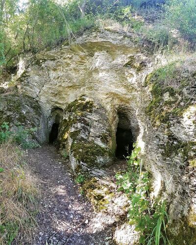Die Wichtellöcher sind zwei durch Auswaschung entstandene Kalk- und Mergelhöhlen aus dem Muschelkalk (ca. 242-235 Millionen Jahre alt), die der Sage nach als Stolleneingänge für Wichtel dienten und als Geotop des Jahres 2022 ausgezeichnet wurden.