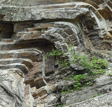 Der Steinbruch der Bergfreiheiter Welle zeigt die 300 Millionen Jahre alten Gesteinsschichten, die durch tektonische Kräfte aufgefaltet wurden.