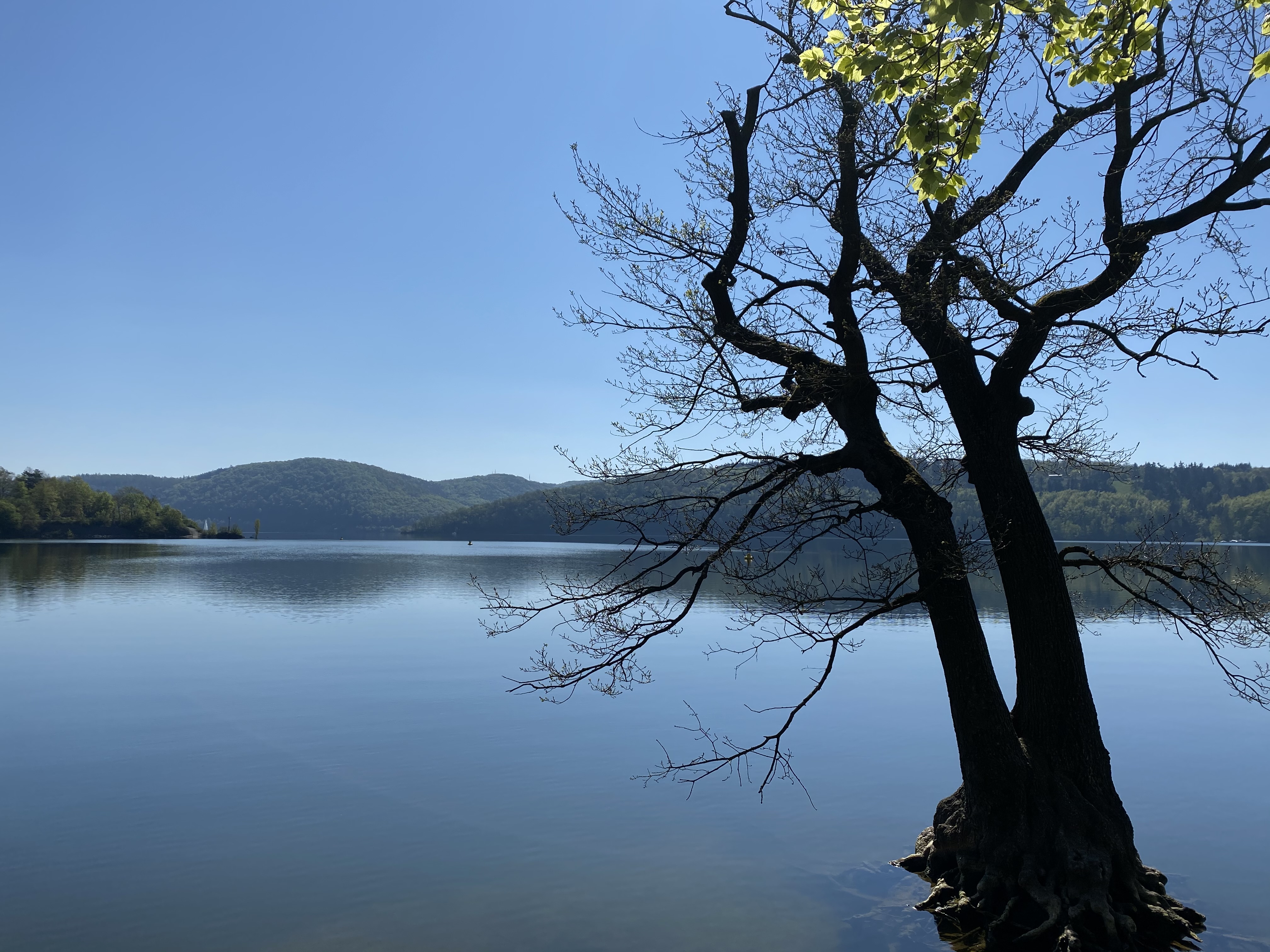 Der Edersee ist ein großer Stausee in Hessen, der für Stromerzeugung, Hochwasserschutz und Tourismus genutzt wird.